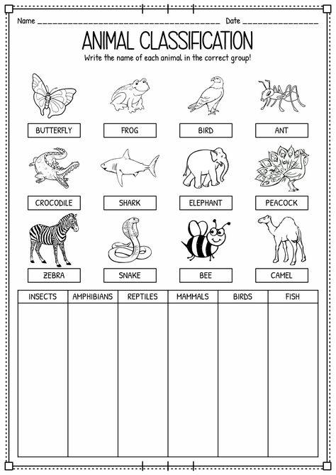 Animal Needs First Grade, All About Animals Activities, Different Types Of Animals Worksheet, Types Of Animals Kindergarten, Animal Classification Worksheet Free Printable, Needs Of Animals Worksheet, Growth And Changes In Animals Grade 2, Classification Of Animals Worksheet, Types Of Animals Worksheet