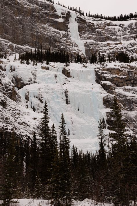 The Icefields Parkway in winter: Must-see stops, driving tips, and more Jasper Canada, Ice Cleats, Safe Trip, Parkway Drive, Icefields Parkway, Winter Driving, Winter Reads, Hiking Poles, Parks Canada