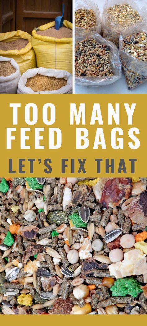 While sometimes you don't have much of a choice, don't throw them out just yet. There are a bunch of ways to recycle feed bags! Feed Bags Repurposed Diy, Repurposed Feed Bags, Feed Bags Repurposed, Feed Sack Bags, Garmet Bag, Upcycled Tote, Goat Barn, Hay Feeder, Feed Bags