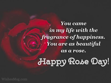 Rose Day Images For Love, Rose Day Wishes For Friends, Rose Day Thought, Rose Day Status, Happy Kiss Day Quotes, Rose Love Quotes, Rose Day Pic, Rose Day Wishes, Rose Day Quotes