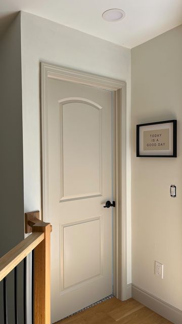 Contrasting Doors And Trim, Beige Contrast Trim, Door Trim Paint Ideas, Painting Door Trim, Painting Wood Doors White, Minimal Door Trim, Add Trim To Plain Door, How To Paint Hollow Core Doors, Beige Doors