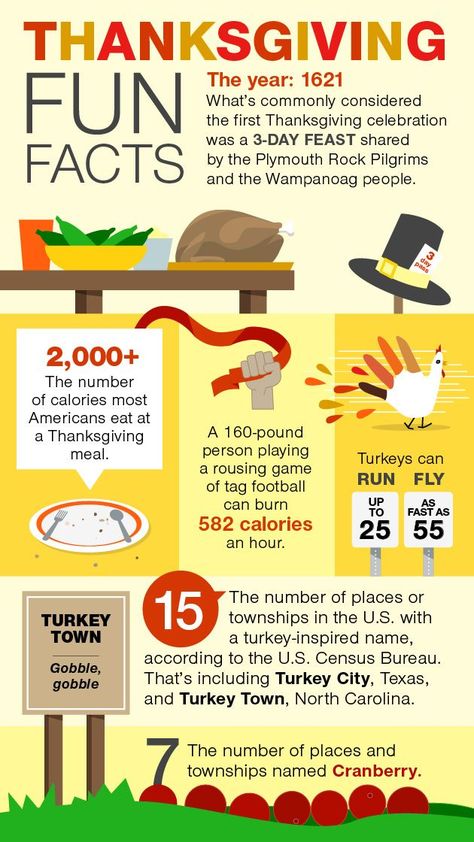 Thanksgiving Infographic, Facts About Thanksgiving, Thanksgiving Fun Facts, Turkey Facts, Thanksgiving Facts, Turkey Recipes Thanksgiving, Guinness Book, Fact Of The Day, First Thanksgiving