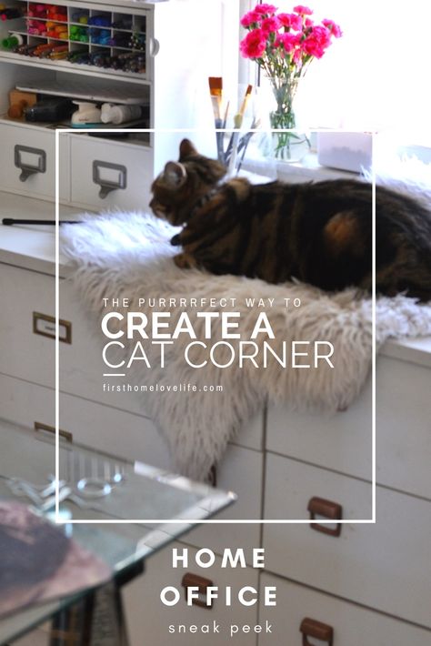 Diy Cat Corner, Corner Home Office, Morning Routine Kids, Cat Corner, Office Cat, Cat Area, Meow Mix, Fairy Lights Decor, Cute Animal Quotes