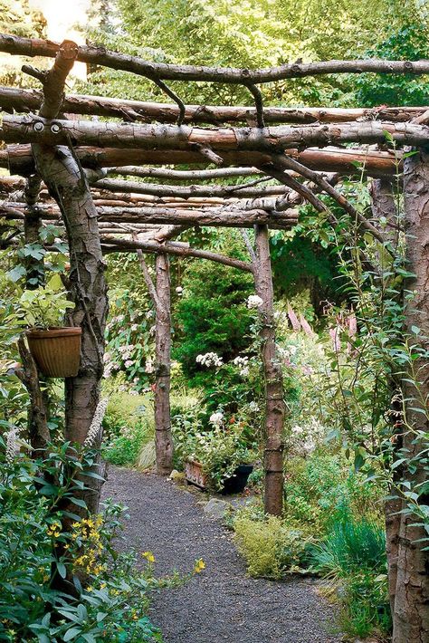 A rustic arbor can add country charm to your garden or backyard. Featuring natural materials and simple designs, these outdoor structures can help define an entrance or provide support for climbing vines and flowers. Create your own picturesque garden setting with this collection of rustic arbor ideas. #archtrellis #gardenarch #archwayideas #landscaping #gardenarbor #bhg Landscape Arbor, Arbors Ideas, Arbor Ideas, Rustic Arbor, Rustic Pergola, Simple Landscape, Garden Pergola, Diy Garden Trellis, Rustic Landscape