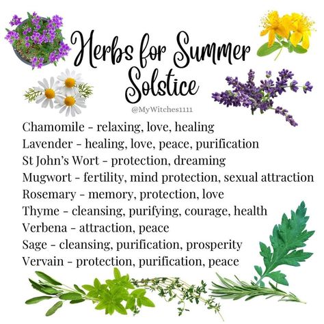 Summer Witchcraft, Solar Witch, Fairy Plants, Herbs For Healing, Witch Apothecary, Solstice And Equinox, The Season Of The Witch, The Book Of Shadows, Witch Fairy