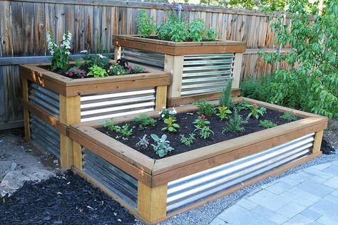 The beauty of raised garden beds is not hidden from anyone. They are really elegant to look at and one of the best things invented by man. So, are you planning to make a raised garden bed for your plants? Making a raised garden bed is not that difficult. All Making Raised Garden Beds, Vegetables Ideas, Raised Herb Garden, Herb Garden Planter, Diy Garden Bed, Beds Diy, Vegetable Garden Raised Beds, Building A Raised Garden, Vertical Herb Garden