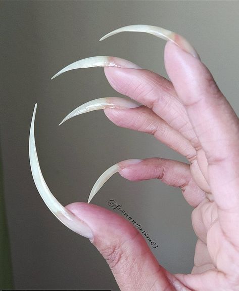 Sharp Pointed Nails, White Claw Nails, Vein Nails, Archery Nails, Stiletto Natural Nails, Powerful Oc, Seductive Nails, Claw Nails Designs, Arm References