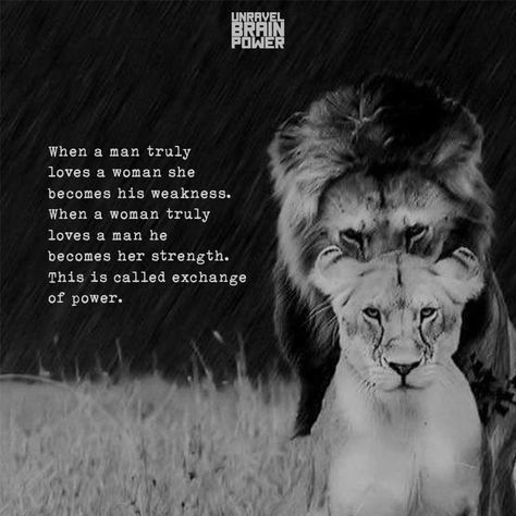 When a man truly loves a woman she becomes his weakness. When a woman truly loves a man he becomes her strength. This is called exchange of power. Loving A Woman Quotes, Strong Man Quotes, Loving A Woman, Lioness Quotes, Men Love Quotes, Good Man Quotes, Man Quotes, Lion Quotes, Weak Men