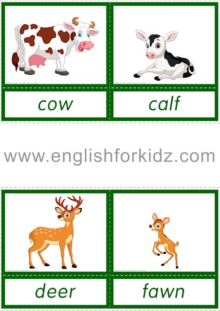 Animals and their young ones. Printable ESL flashcards Reading Flashcards, Animals And Their Babies, Mother And Baby Animals, Help Kids Focus, Baby Animal Names, Improve Reading Skills, Teach English To Kids, Hindi Alphabet, Community Helpers Preschool