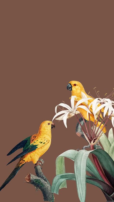 Yellow birds illustration iPhone wallpaper, editable design | premium image by rawpixel.com / Busbus Camel Illustration, Camels Illustration, Birds Illustration, Canary Birds, Yellow Birds, Animal Wildlife, Yellow Bird, Bird Illustration, Tropical Flowers