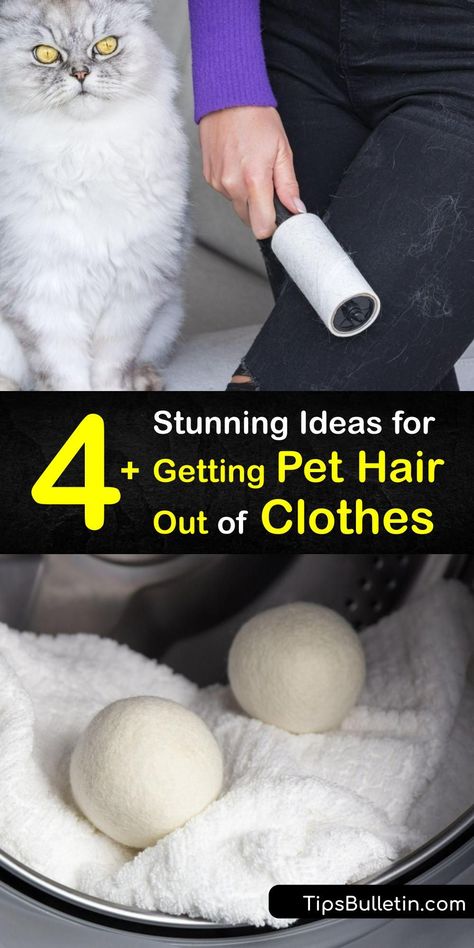 Dog Play Ideas, Dryer Lint Trap, Dog Hair Cleaning, Pet Hair Dryer, Dog Hair Removal, Hair Trap, Cat Hair Removal, Fabric Softener Sheets, Cleaning Pet Hair