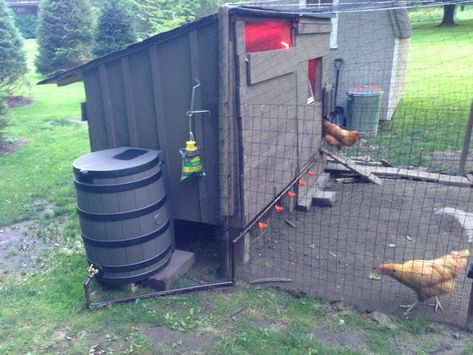 Chicken Watering System, Duck Enclosure, Coop And Run, Mobile Chicken Coop, Shade Grass, Chicken Waterer, How To Raise Chickens, Water Rain, Chicken Tractors