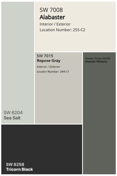 Grey With Green Accent Wall, Accent Wall That Goes With Grey, Grey Color Interior Design, Green And Black Accent Wall, Black White Grey Palette, Black Tones Palette, Grey And White Color Scheme, Black Wall Color Palette, Full House Color Scheme Colour Palettes