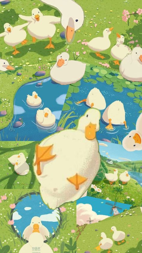 Cute Pictures Of Ducks, Kkchenwei Wallpaper, Duck Desktop Wallpaper, Aesthetic Duck Wallpaper, Duck Lockscreen, Duck Collage, Duck Pictures, Duck Drawing, Duck Wallpaper