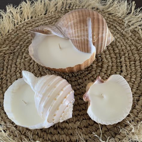 Scallop Shell Coconut + Vanilla Candle Diy Coconut Candle, Surf Room Ideas, Beachy Candles, Shell Gifts, Surf Room, Seashell Candles, Beachy Room, Coconut Candle, Beach Candle