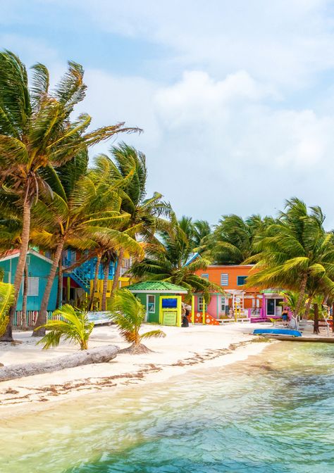 15 Totally Awesome Things to Do in Caye Caulker, Belize Belize Real Estate, Caye Caulker Belize, Belize Barrier Reef, Belize Beach, Belize Vacations, Caye Caulker, Travel Noire, Ambergris Caye, Belize City