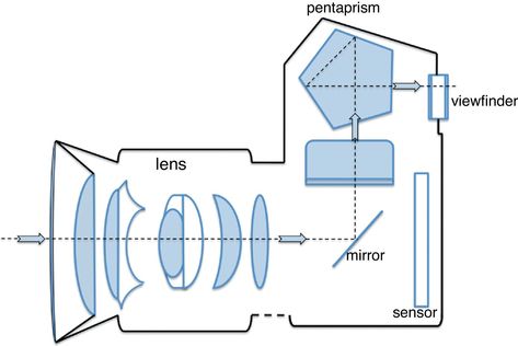 Camera Diagram, Single Lens Reflex Camera, Camera Obscura, Film Institute, Year 7, Dslr Camera, Film Camera, Camera Photo, Digital Camera