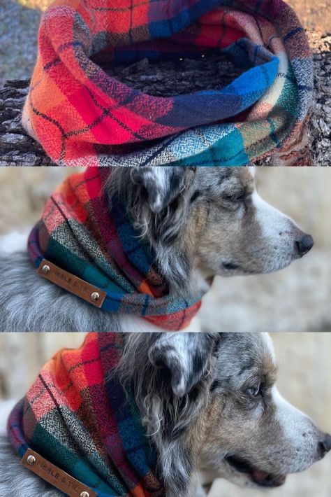 Dog Infinity Scarf, Flannel Scarf, Flannel Scarves, Infinity Scarf Pattern, Yorkie Dogs, Dog Adventure, Dog Scarfs, Dog Sweaters, Neck Scarf