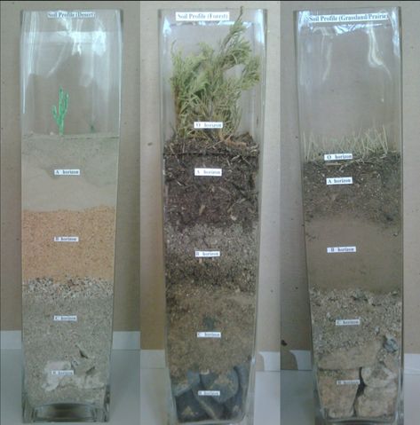 Soil Profile, Grassland Biome, 5th Grade Activities, Stem Programs, Stem Careers, Nasa Missions, 5th Grade Science, Essential Questions, Weather And Climate