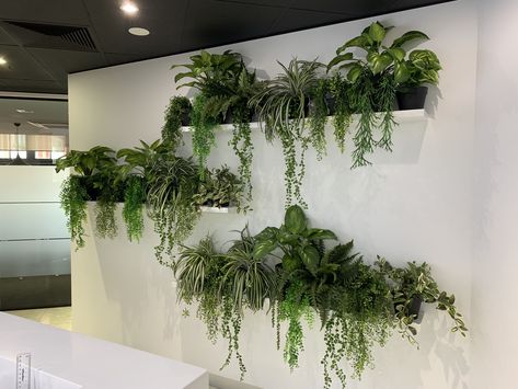 29 Indoor Plants Ideas DecorIndoor Plant Ideas Plants For ApartmentHanging Plant Indoor Indoor Plants Ideas Decor, Indoor Plant Ideas, Houseplant Trellis, Indoor Plant Trellis, Wall Hanging Decorations, Indoor Plant Wall, Vertical Garden Design, Plant Indoor, Plant Wall Decor