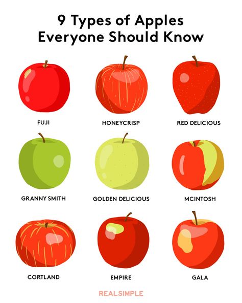 9 Types of Apples Everyone Should Know Apples Pictures, Colors Worksheet, Types Of Apples, Easy Baked Apples, Best Apples For Baking, Best Apple Recipes, Apple Recipes Healthy, Apple Picture, Golden Delicious Apple