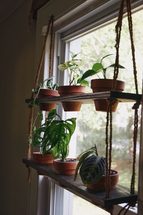 DIY Hanging Plant Shelf - Living the Gray Life Diy Plant Shelf, Window Shelf For Plants, Pallet Deck Diy, Window Plant Shelf, Pot Gantung, Succulent Display, Diy Hanging Planter, Hanging Herbs, Diy Hanging Shelves