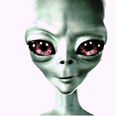 Alien Funny Pictures, Alien Pfp, Alien Meme, Oc Illustration, Alien Pictures, Funny Alien, Blue Emoji, Goofy Pictures, Silly Images