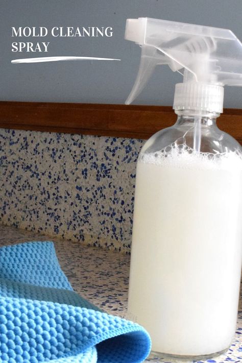 Effective homemade mold cleaner spray and other DIY tips for cleaning the bathtub and tile in the shower. Bathroom Mold Cleaner, Cleaning Shower Mold, Mold Cleaner, Bathroom Mold Remover, Diy Shower Cleaner, Best Shower Cleaner, Diy Bathroom Cleaner, Cleaning Bathroom Tiles, Shower Mold