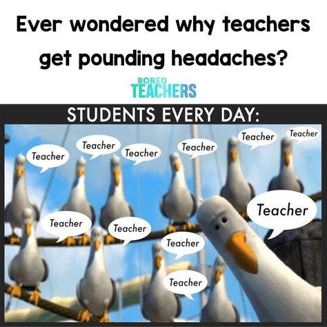 Maths Jokes, Teacher Humour, Teacher Memes Funny, Classroom Humor, Teaching Memes, Classroom Memes, Teacher Tired, Teacher Quotes Funny, Teaching Humor