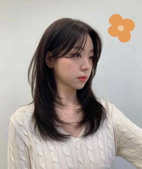 Butterfly Layered Hair Medium, Korea Haircut Medium, Light Wolfcut Medium Hair, Korean Hairstyle For Big Forehead, Haircut For Forehead, Wispy Curtain Bangs Asian Hair, Kpop Haircut Female Medium, Japanese Layered Haircut Medium, Middle Bangs Long Hair