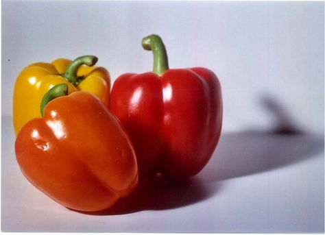 bell peppers from Ann Ruth Photography Bell Pepper Still Life, Vegetable Reference Photo, Food Reference Photos For Artists, Still Life Fruit Reference, Stil Life Photography, Still Life Reference Photos For Artists, Reference Still Life, Drawing Reference Photos Objects, Fruits Reference