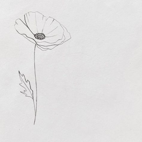 Iceland Poppy Tattoo, Simple Poppy Flower Tattoo, Delicate Poppy Tattoo, Poppy Flower Drawing Simple, Flower Line Art Simple, Dainty Poppy Tattoo, Poppy Line Drawing, Poppy Tattoo Design, Fine Line Poppy Tattoo