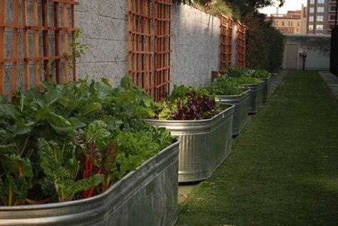 Garden Decor: Corrugated Steel Garden Beds (or re-purposed cattle troughs) | A Gardener's Notebook Raised Garden Bed Plans, Raised Bed Garden Design, Diy Raised Garden, Raised Garden Beds Diy, Modern Garden Design, Homestead Survival, Traditional Garden, Metal Planters, Raised Bed