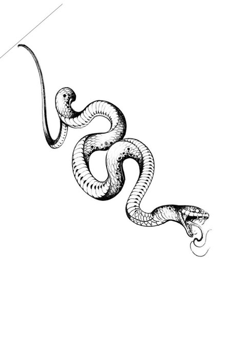 Tattoo Cobra, Cobra Tattoo, Chain Tattoo, Snake Tattoos, Small Snakes, Snake Bites, Tattoo Project, Snake Tattoo, Black Ink Tattoos