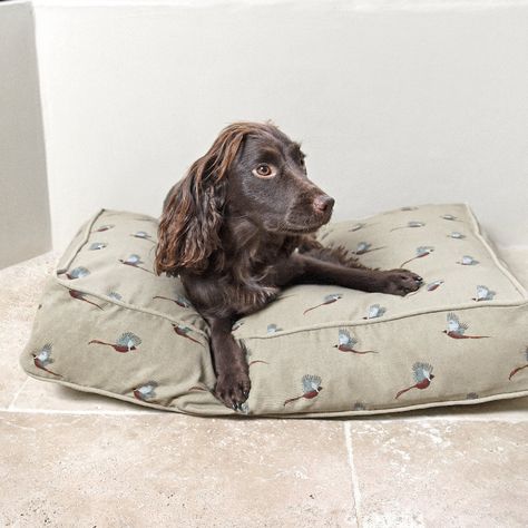 Sophie Allport | 20% Off Summer Styles – Sophie Allport® Dog Mattress, Mattress Dog Bed, Cosy Bed, Halloween Party Dinner, Sophie Allport, Coloured Background, Game Birds, Busy Day, Mattress Covers