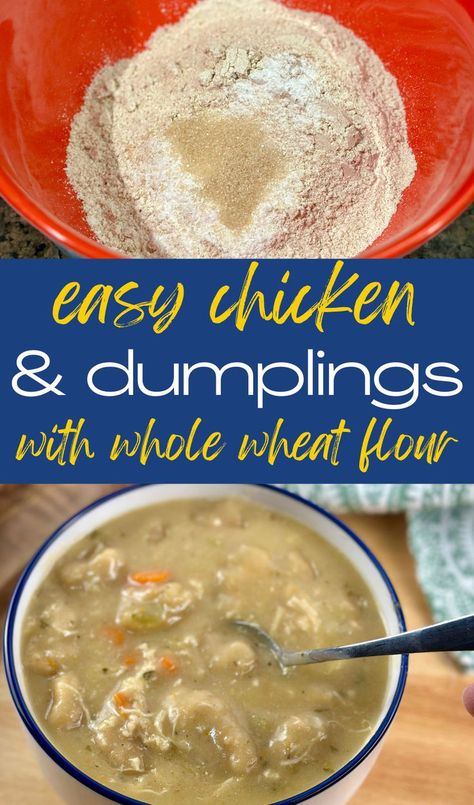 Image of dry ingredients and finished bowl of chicken and dumplings with text "easy chicken and dumplings with whole wheat flour" Flour Chicken, Fresh Milled Flour, Wheat Flour Recipes, Flour Dumplings, Chicken And Dumplings Recipe, Eat More Chicken, Homemade Chicken And Dumplings, Wheat Recipes, Dumplings Recipe