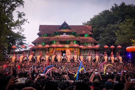 #pooram2022 #thrissurpooram Thrissur Pooram, Elephant Wallpaper, Dance Art, Art Accessories, Dolores Park, Elephant, Collage, Pins, Quick Saves