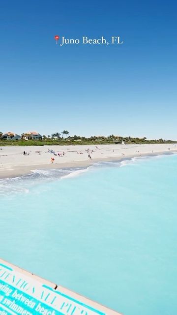 The Palm Beaches on Instagram: "Bluest Water in South Florida💧The water conditions at Juno Beach have been incredible lately 🌴 Cheers to more sunny days and “winter blues” ☀️😎 #ThePalmBeaches 📍Juno Beach, Florida 🎥 @yourdailynaturefix" Jupiter Beach Florida, Juno Beach Florida, Jupiter Beach, Best Beach In Florida, Juno Beach, Jupiter Florida, Dream Vacation Spots, Palm Beach County, Sunshine State