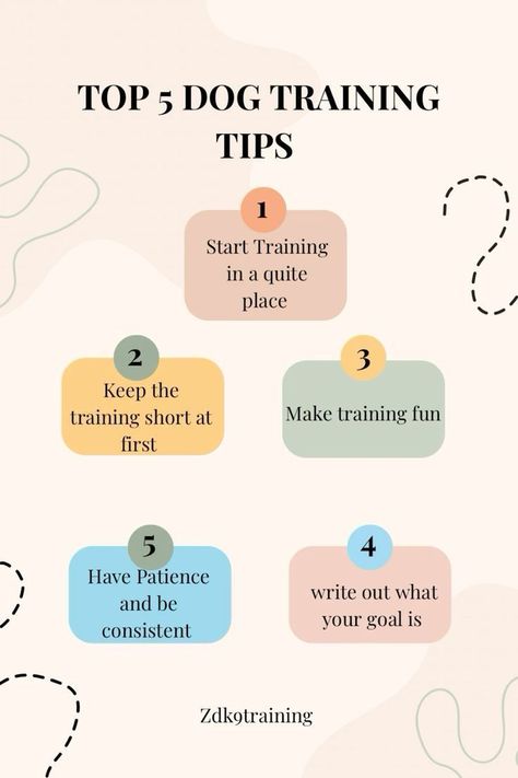 top 5 dog training tips Lacrosse Training, Spoiled Dog, Dog Commands, Positive Dog Training, Easiest Dogs To Train, Dog Training Treats, Dog Enrichment, Notes Ideas, Feel Lost