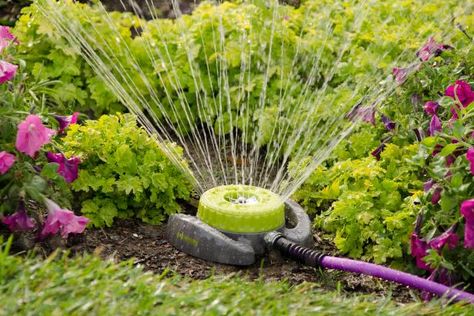 Fine-tune your watering skills by learning the best tools and tips to keep your garden hydrated. Garden Protection From Animals, Garden Protection, Ways To Conserve Water, Ways To Save Water, Best Garden Tools, Hgtv Garden, Recycled Garden, Sprinklers, Home Vegetable Garden