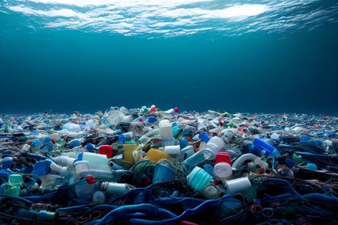 Plastic Waste Recycling, Pacific Garbage Patch, Great Pacific Garbage Patch, Million Pounds, Ocean Cleanup, Marine Debris, Green Business, Plastic Pollution, Pacific Ocean