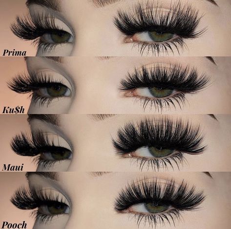 Lash Book, Big Eyelashes, Lash Boxes, Girly Bracelets, Big Lashes, Perfect Eyelashes, Pretty Lashes, Beauty Marketing, Eyelash Tweezer