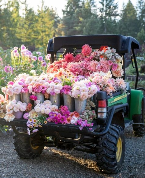 Connecting with Nature and Giving Back with Flower Farmer Misha Gillingham - The Flowering Farmhouse Farmers Market Flowers, Podcast Guest, Flower Shop Decor, Cut Flower Farm, Connecting With Nature, Farm Layout, Flower Truck, Garden Designer, Flower Farmer