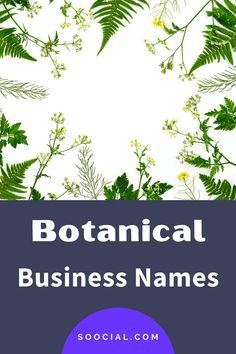 Botanical Business, Business Names, To Draw, Red Carpet, Carpet, Drawings, Plants, Red