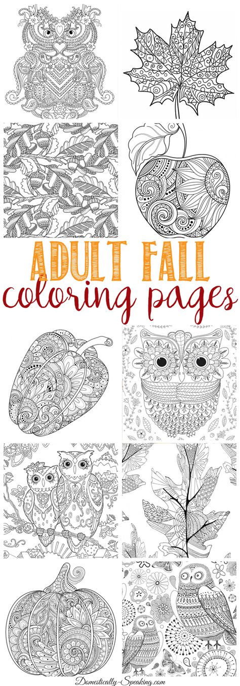 Fall Journal Printables, Fall Coloring Pages For Adults, Free Fall Coloring Pages, Thanksgiving Coloring, Fall Coloring, Adults Coloring, Detailed Coloring Pages, Fall Coloring Pages, Coloring Pages For Adults