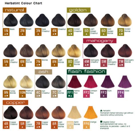 Clairol Hair Color Chart, Clairol Hair Color, Ammonia Free Hair Color, Anime Hairstyles Male, Poofy Hair, Bob Braids Hairstyles, Gel Hair, New Hair Do, Matrix Color