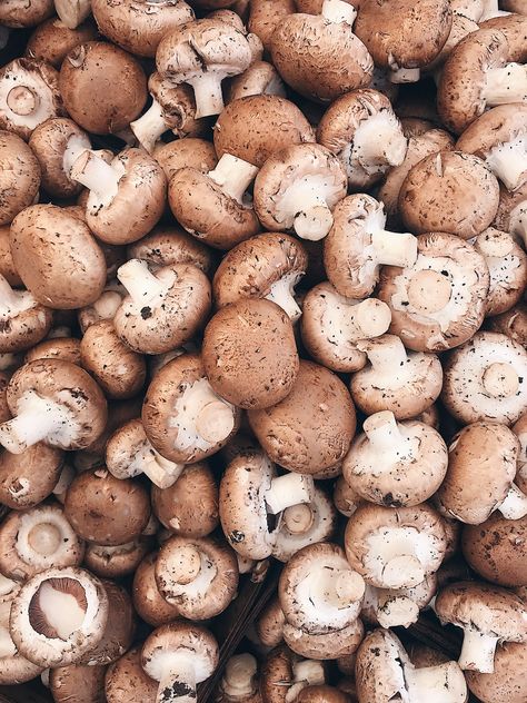 Did you know In France, Cremini mushrooms were cultivated in the catacombs beneath Paris leading to the moniker “champignons de Paris" or Paris mushrooms, and Cremini mushrooms are still cultivated underground in Western France today?!  We love getting these in the summer and fall to make some incredible dishes. What do you love to make with them? Mushroom Farm, Western France, Food House, Cremini Mushrooms, The Catacombs, B Roll, House Photos, Motion Design Animation, Design Animation