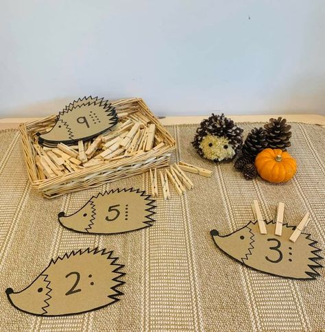 Autumn Math Activities Preschool, Autumn Maths Activities Eyfs, Jesen Aktivnosti U Vrticu, Autumn Provocations, Autumn Kindergarten Activities, Autumn Montessori, Autumn Preschool Activities, Autumn Activities For Preschool, Autumn Kindergarten