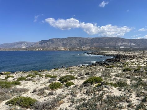 Guide to visit the beautiful Elafonisi Beach: A pink beach paradise in Crete - @dailytravelmoment Elafonisi Beach, Perfect Beach Day, Europe Trip Itinerary, Unique Beach, Pink Beach, Sunny Beach, Europe Travel Guide, Beach Paradise, Pink Sand