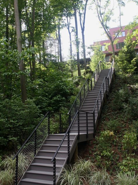 Project # 260 - Customized Cable Railing - StairSupplies™ Lake Stairs Outdoor, Lake House Stairs, Plane House, Stairs Decoration, Garden Ideas Uk, Lake Landscaping, Outside Stairs, Island Cottage, Landscape Stairs